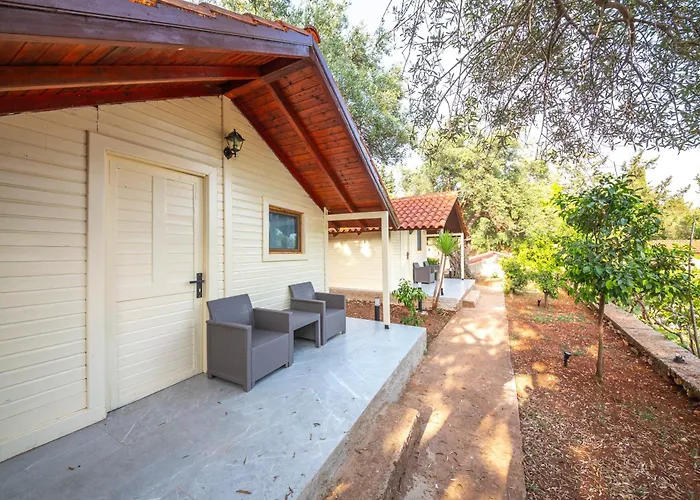 Shen Nikolla 营地 3*